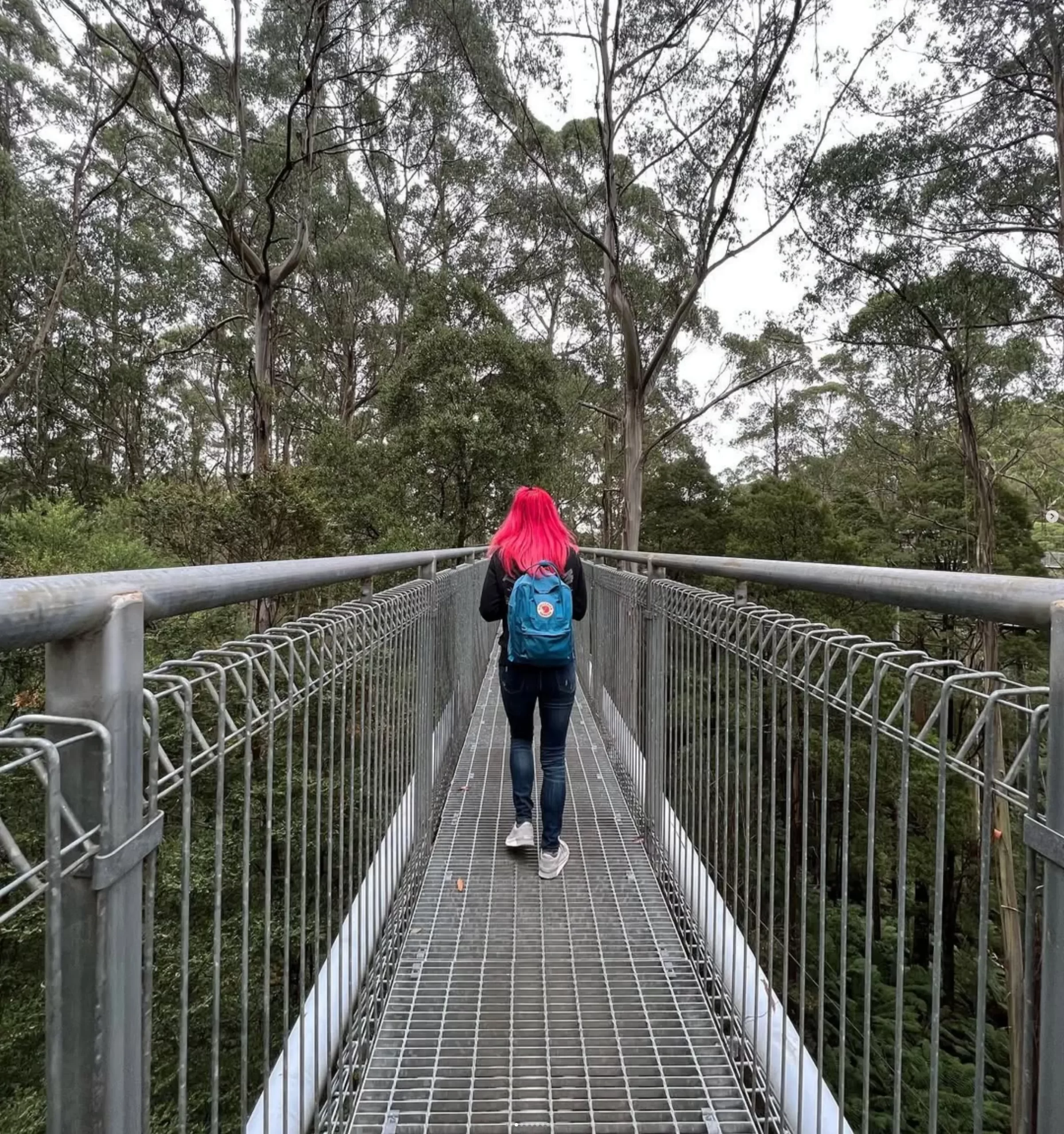 Great Ocean Road tours