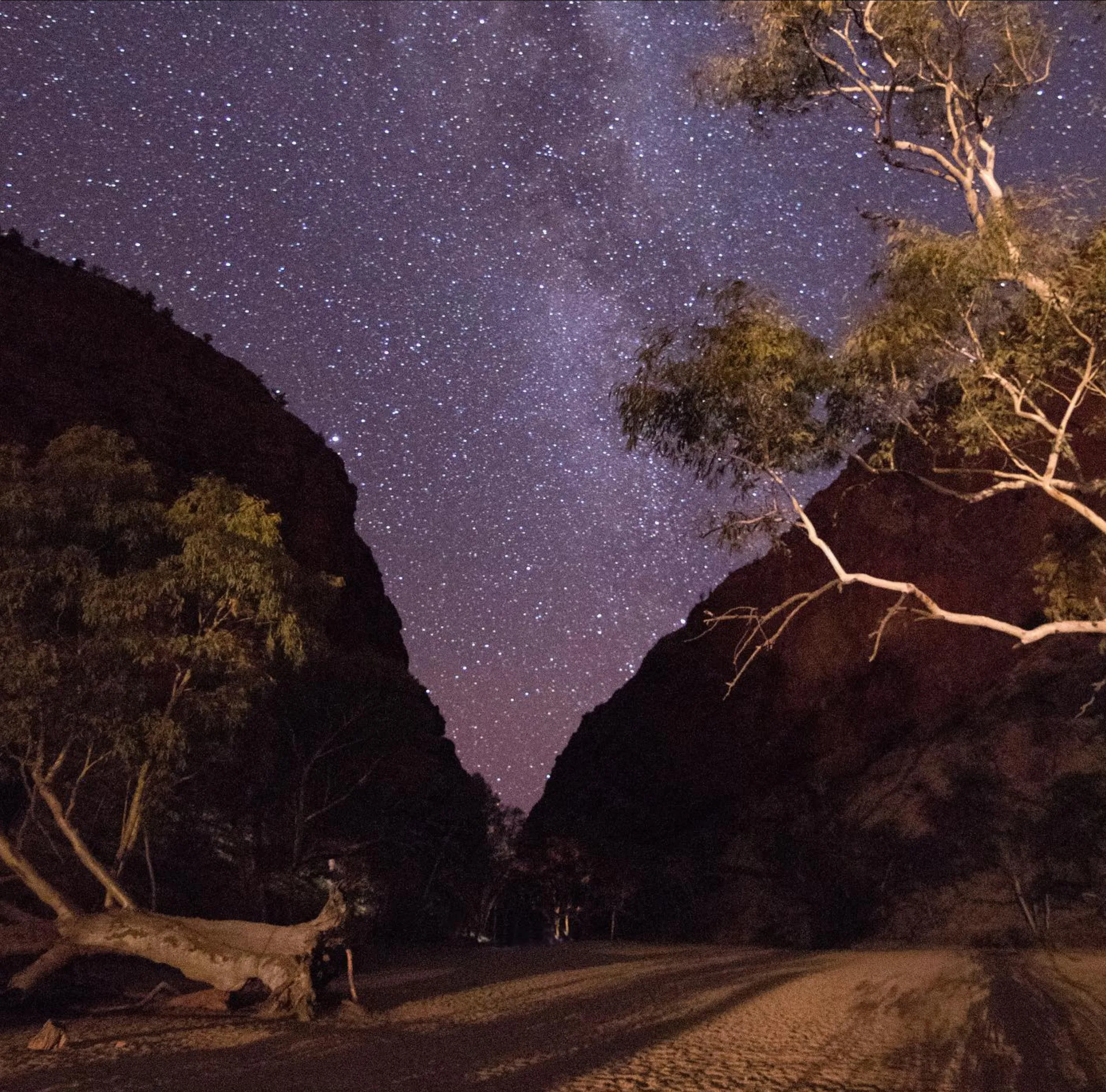 cold nights, Larapinta