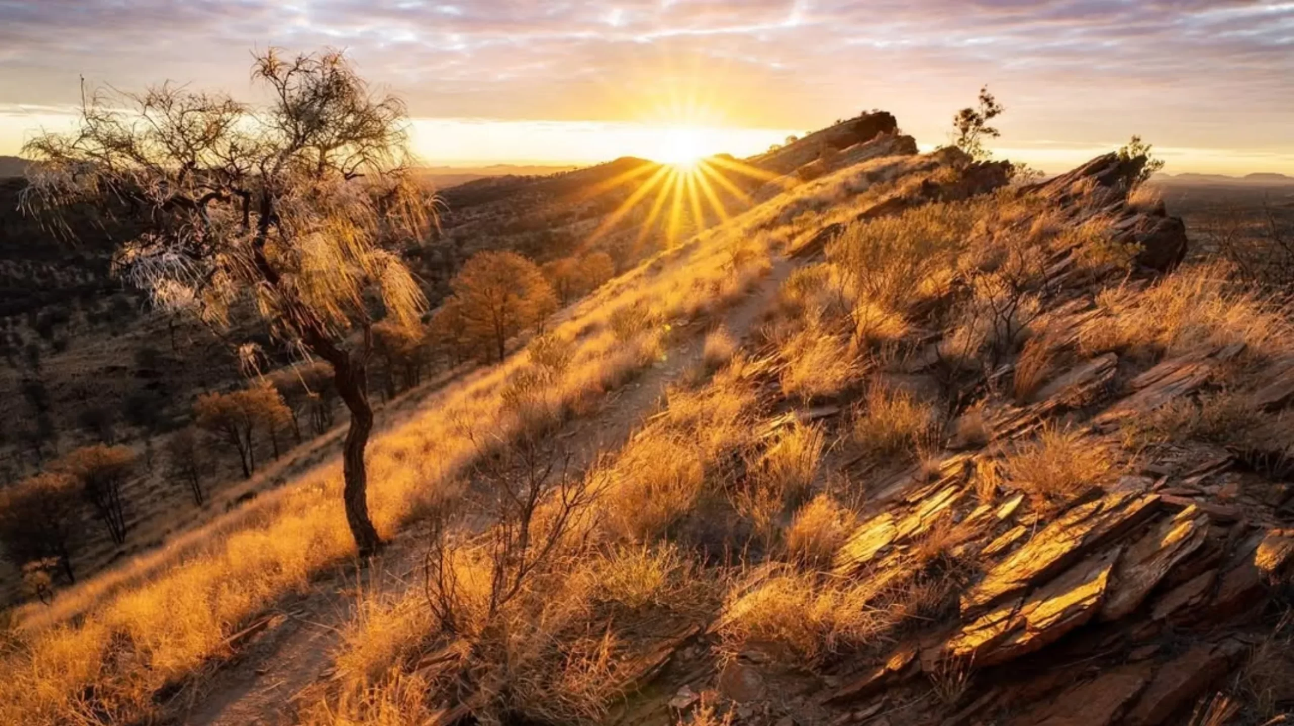 tour Larapinta Trail