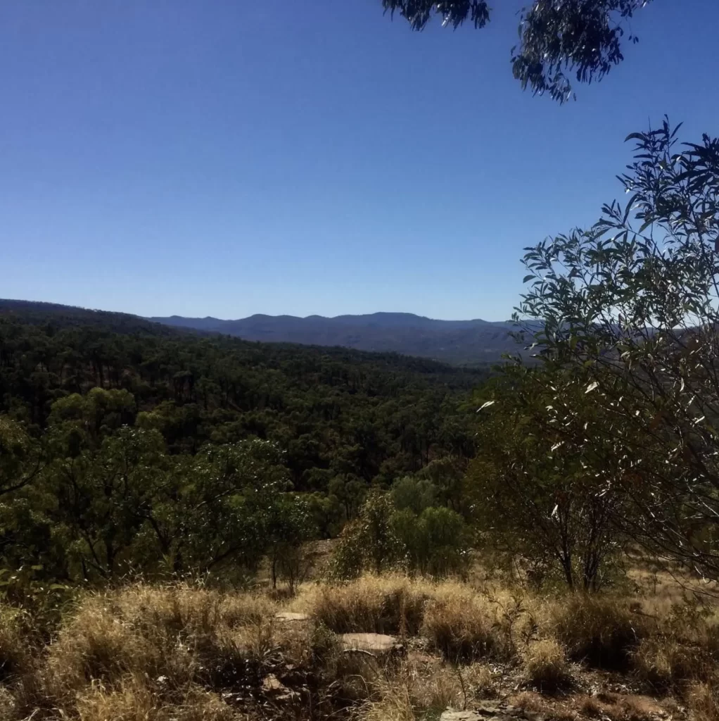 The Big Picture What’s Shaping Eastern Australia